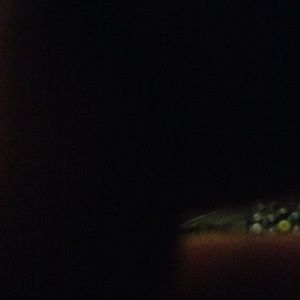 Meet your Posher, Layla