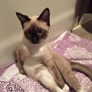 Meet your Posher, Chelsea