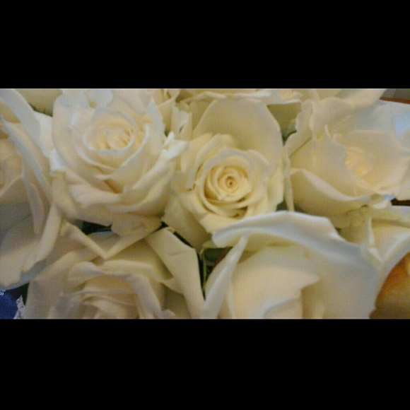 Meet your Posher, Randi - Picture 1 of 1