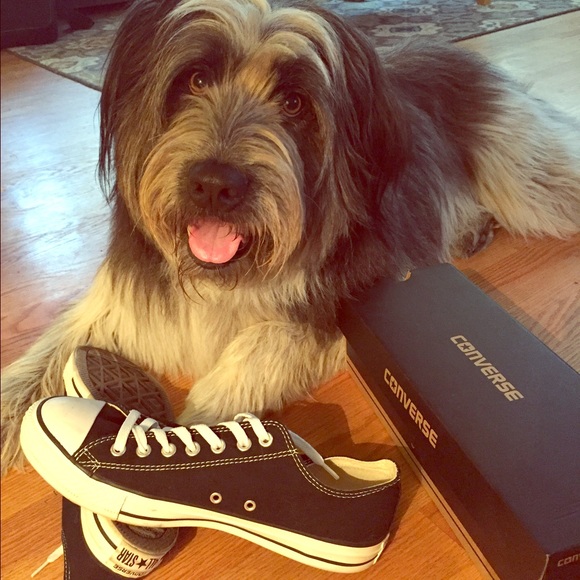 Black converse all stars