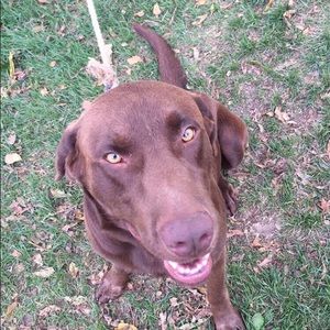 Meet your Posher, Austin