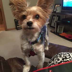 Meet your Posher, Glo