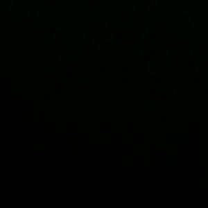 Meet your Posher, Raul