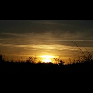 Meet your Posher, Debra