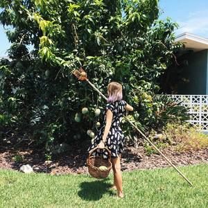 Meet your Posher, Faye