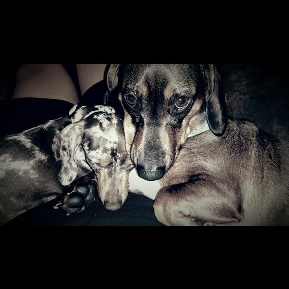 Meet your Posher, Jamie - Picture 1 of 1