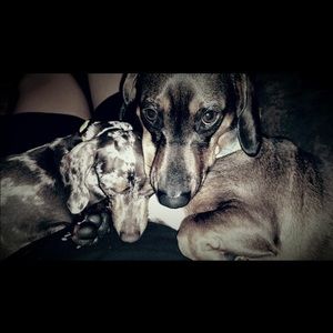 Meet your Posher, Jamie