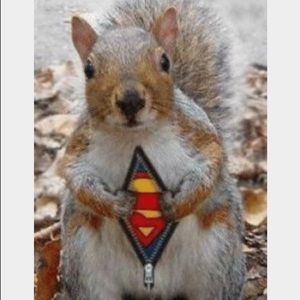 Meet your Posher, Raquel