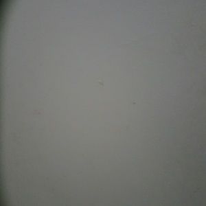 Meet your Posher, Miguel