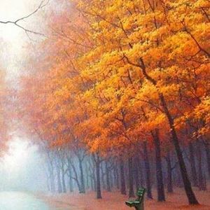 Meet your Posher, Arsenia