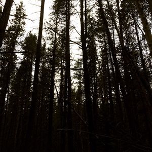 Meet your Posher, Kat