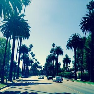 Meet your Posher, Kc