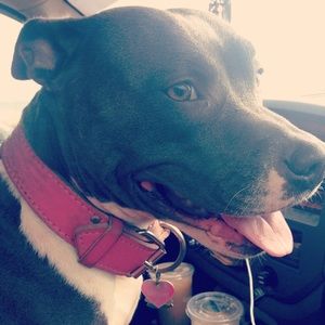 Meet your Posher, Jade