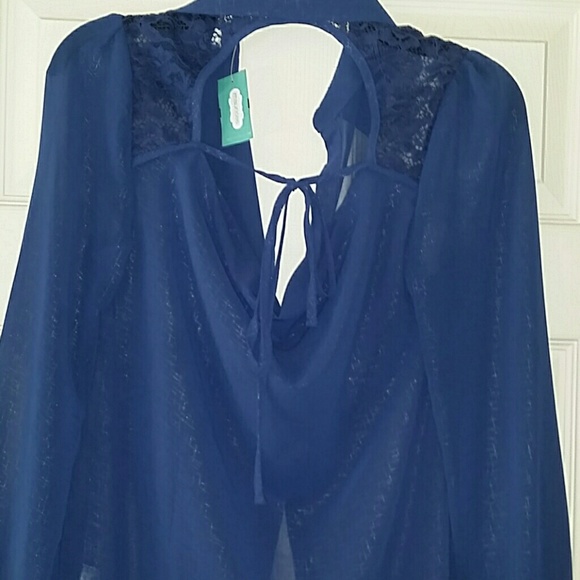 Gorgeous sheer top with great detail