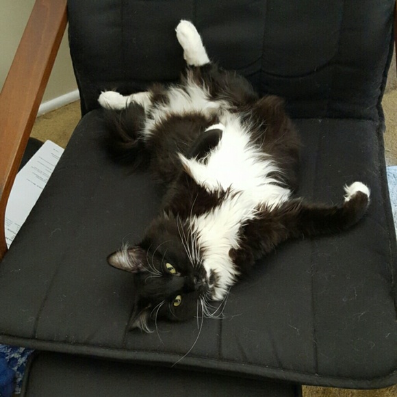 Meet your posher - Picture 2 of 3