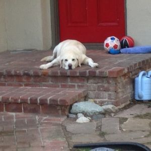 Meet your Posher, Isabelle