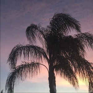 Meet your Posher, Molly