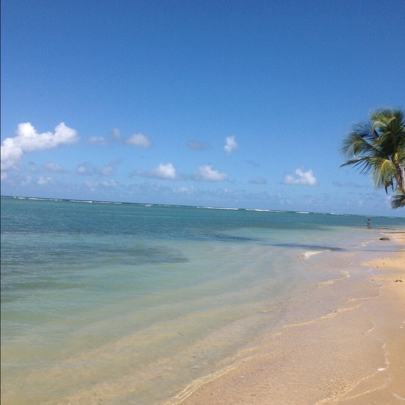 Meet your Posher, Liz