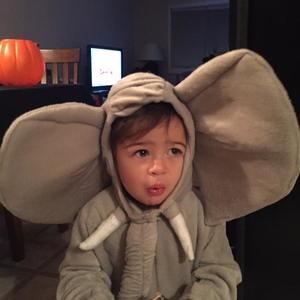 Meet your Posher, Cesina