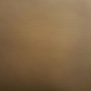 Meet your Posher, Bailey