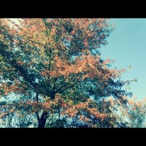 Meet your Posher, Addisyn