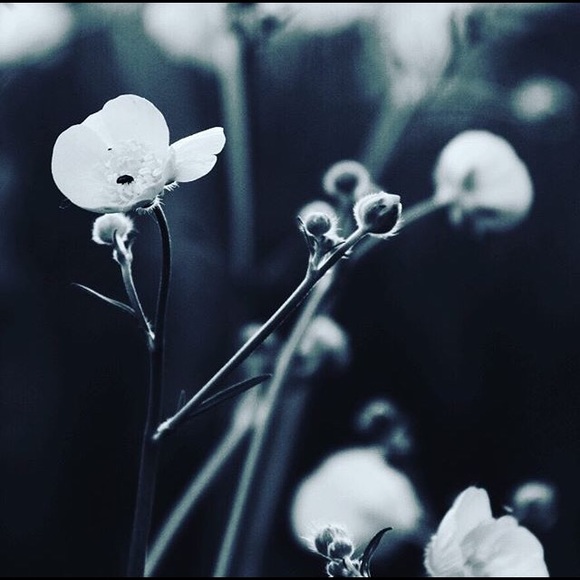 Meet your Posher, Lorena - Picture 1 of 1