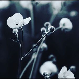 Meet your Posher, Lorena