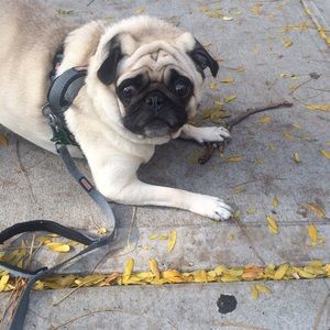 Meet your Posher, Elizabeth