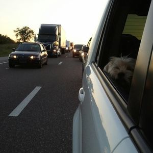 Meet your Posher, Christa