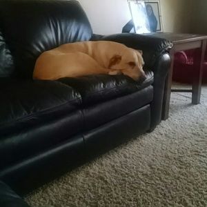 Meet your Posher, Scott