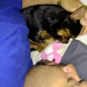 Meet your Posher, Charlo