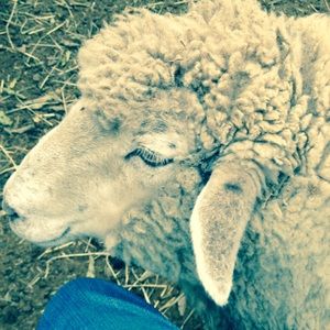 Meet your Posher, Lena