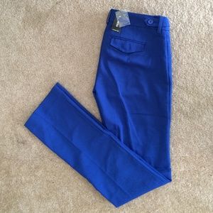 Brand new royal blue columnist pant (EXPRESS)