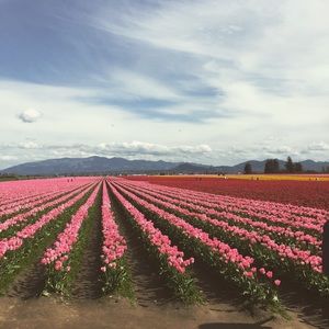 Meet your Posher, Mackenzie