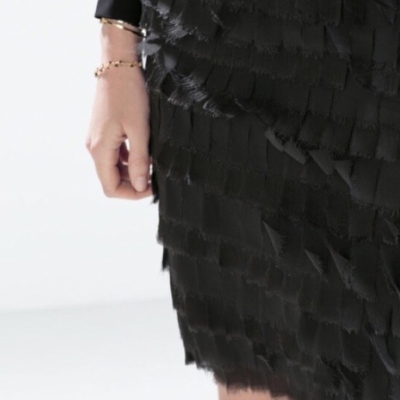 Zara Chiffon Fringe Skirt