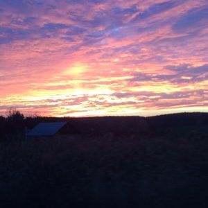 Meet your Posher, Cassie