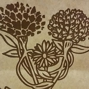 Meet your Posher, Terri