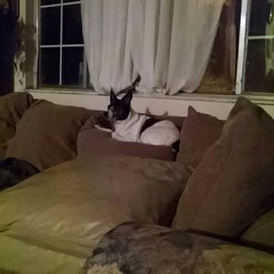 Meet your Posher, Robin