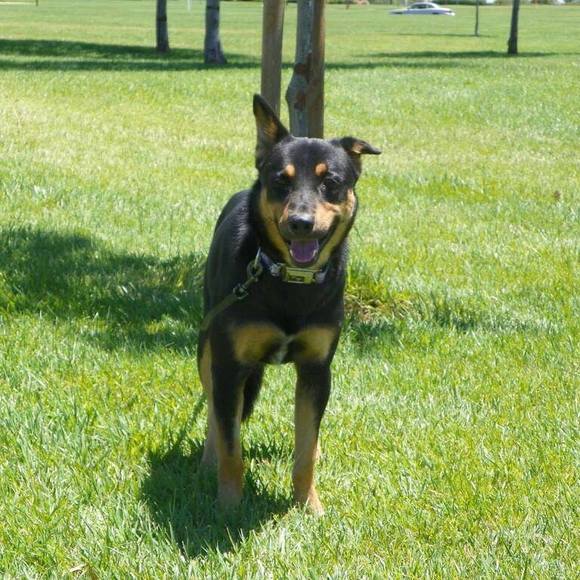 Meet your Posher, Cynthia - Picture 1 of 2