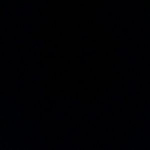 Meet your Posher, Kiesha