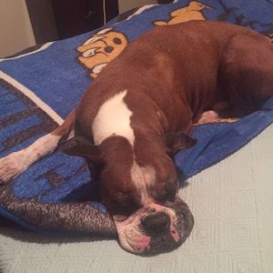 Meet your Posher, Lisa