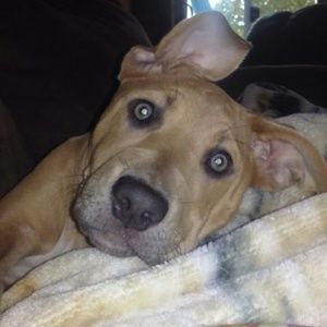 Meet your Posher, Erica