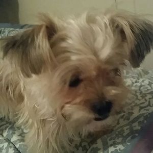 Meet your Posher, Marrianne