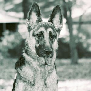 Meet your Posher, Mary