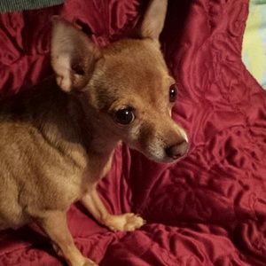 Meet your Posher, Michele