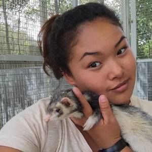 Meet your Posher, Zina