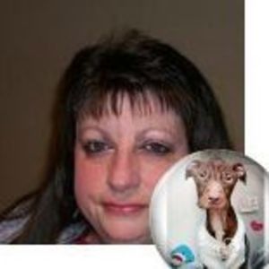 Meet your Posher, Cindy