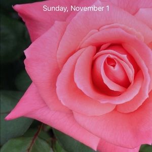 Meet your Posher, Annie