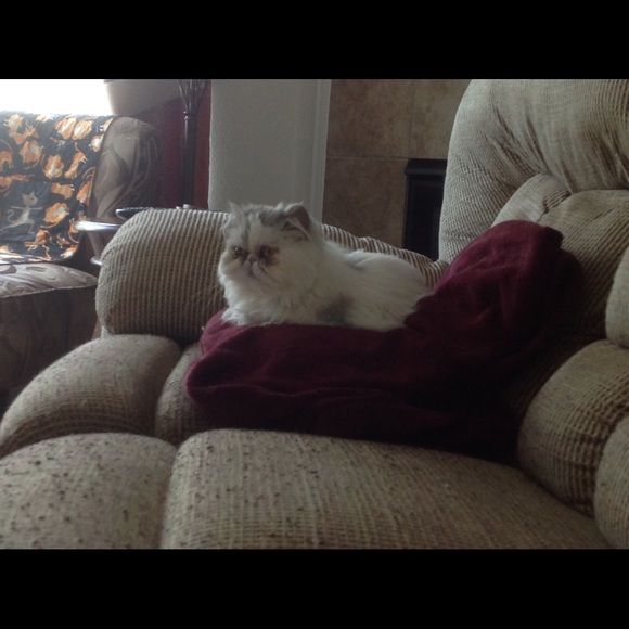 Meet your Posher, Julia - Picture 1 of 1