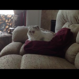 Meet your Posher, Julia